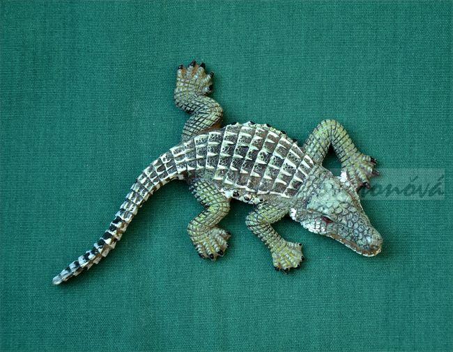 Relief Krokodýl - délka 10cm