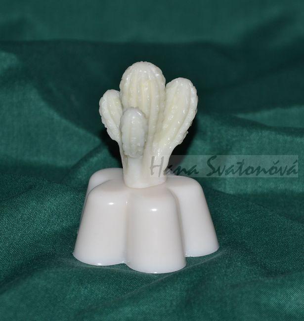 Kaktus trojitý (květ) výška 7cm