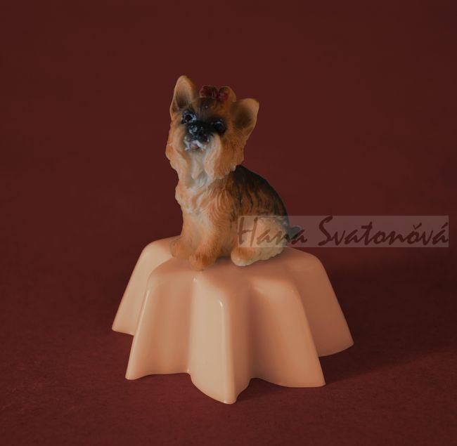 Jorkšír (hvězda) výška 7,5cm