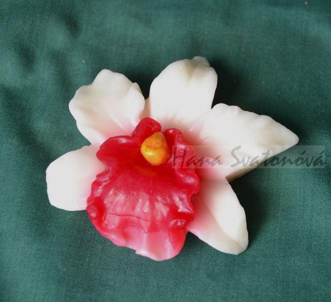 Květ Orchidej červenobílá - průměr 10cm