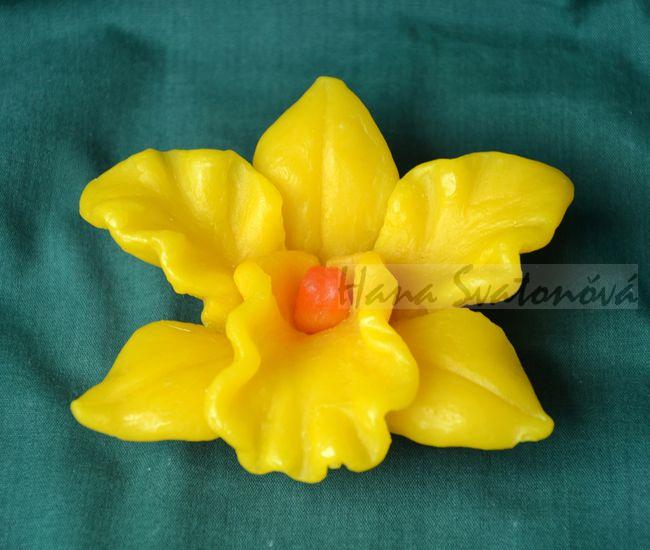 Květ Orchidej žlutá - průměr 11cm