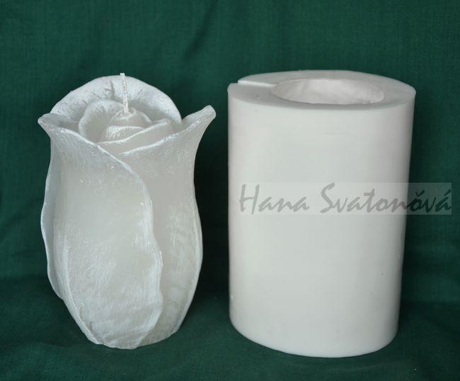 Růže - vysoký květ - výška 12cm