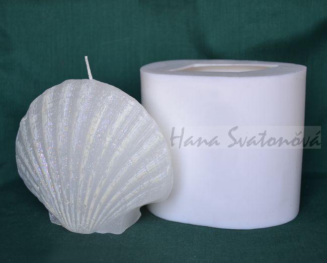 Mušle zavřená, výška 10cm