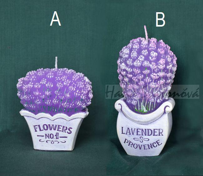 Levandule v květináči - výška 8,5 a 14cm