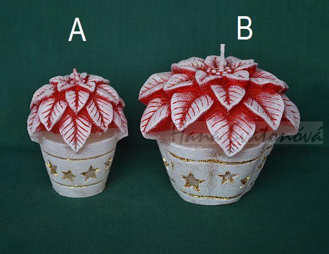 Vánoční hvězda v květináči, průměr 6,5 a 10cm