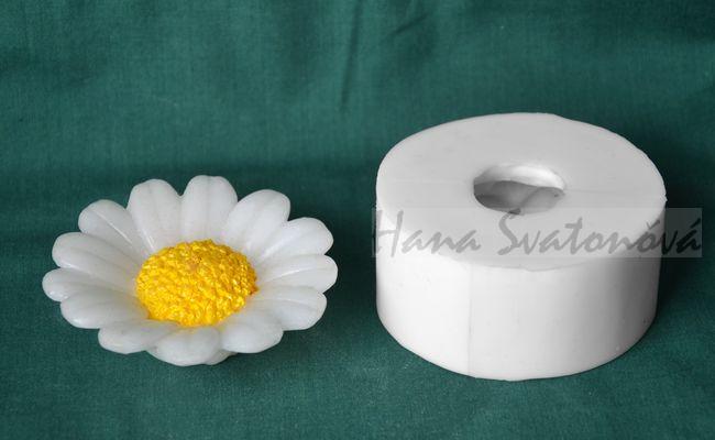 Květ Kopretina střední - průměr 8cm
