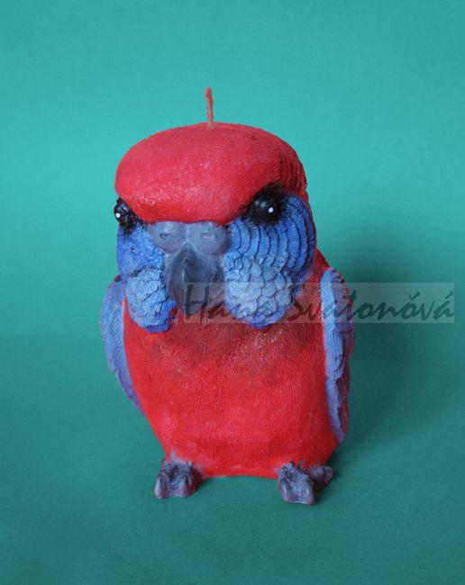 Papoušek - výška 12cm