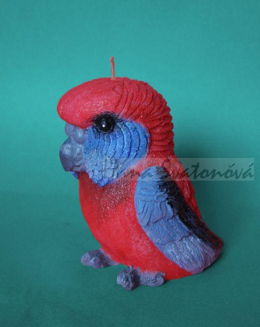 Papoušek - výška 12cm