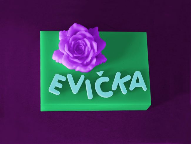 Forma s volitelným jménem