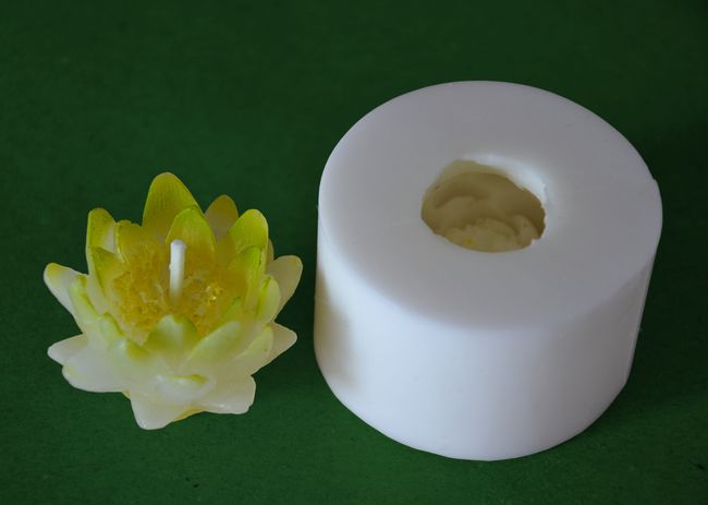 Leknín žlutý - průměr 3,5cm