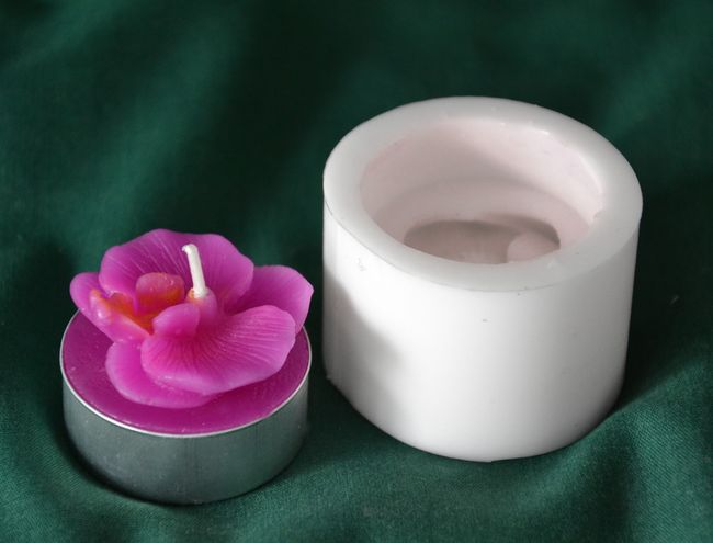 Orchidej růžová