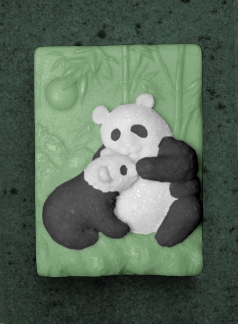Pandy
