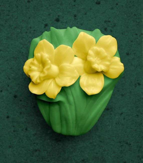 Narcisky