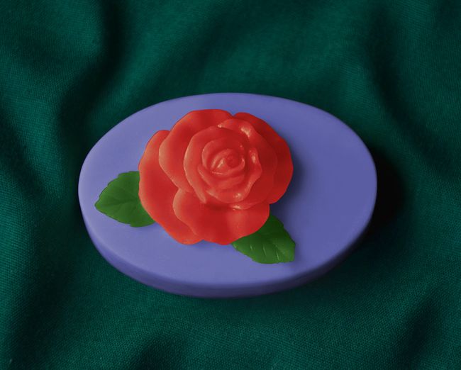 Růže s lístkama - oval