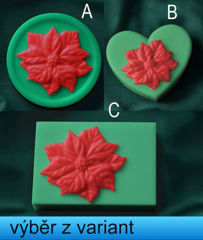 Vánoční hvězda