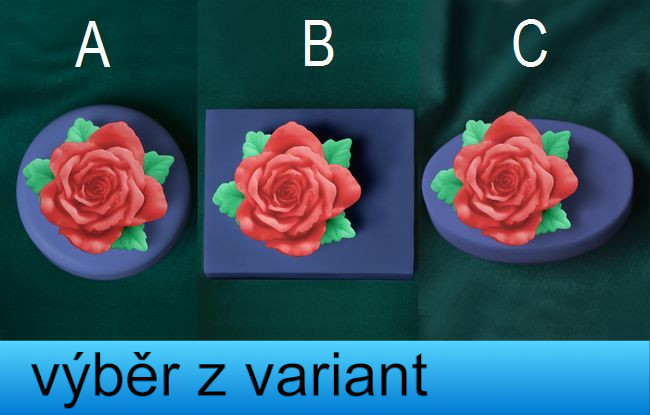Růže