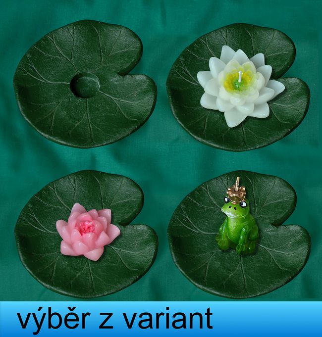 Leknín Větší - průměr 9cm