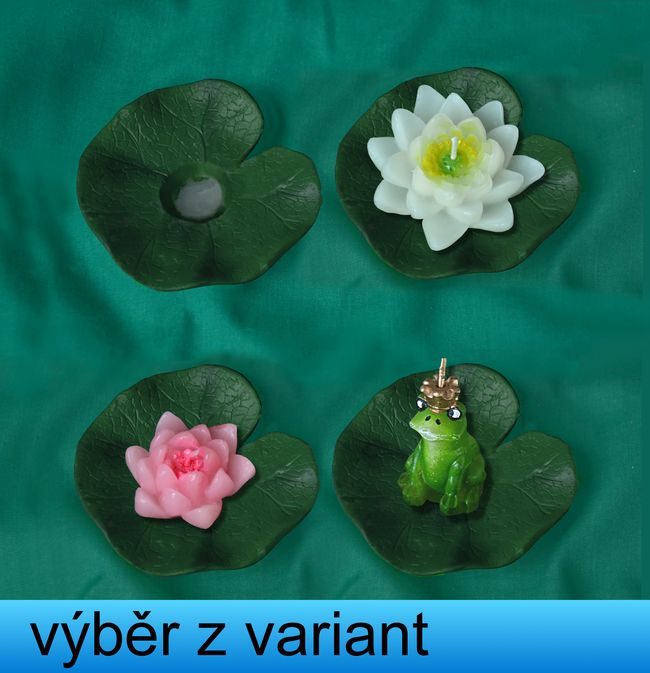 Leknín Menší - průměr 7cm