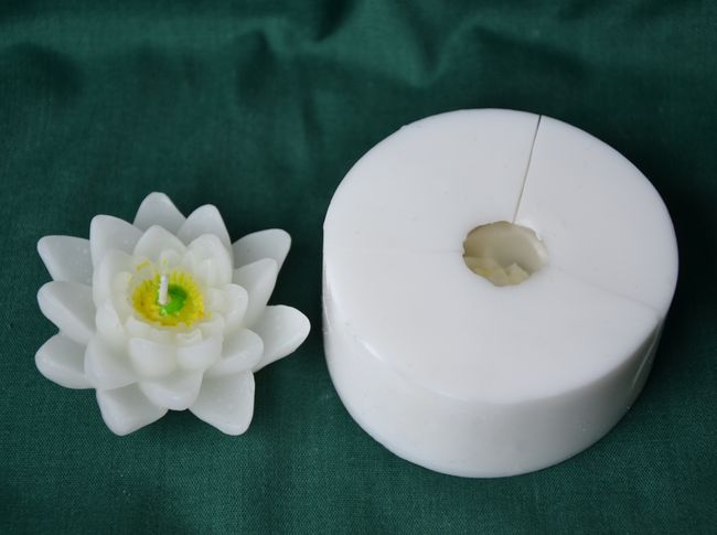 Leknín bílý - průměr 5,5cm