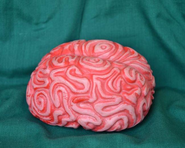 Mozek, 12,5x10 x výška 7cm