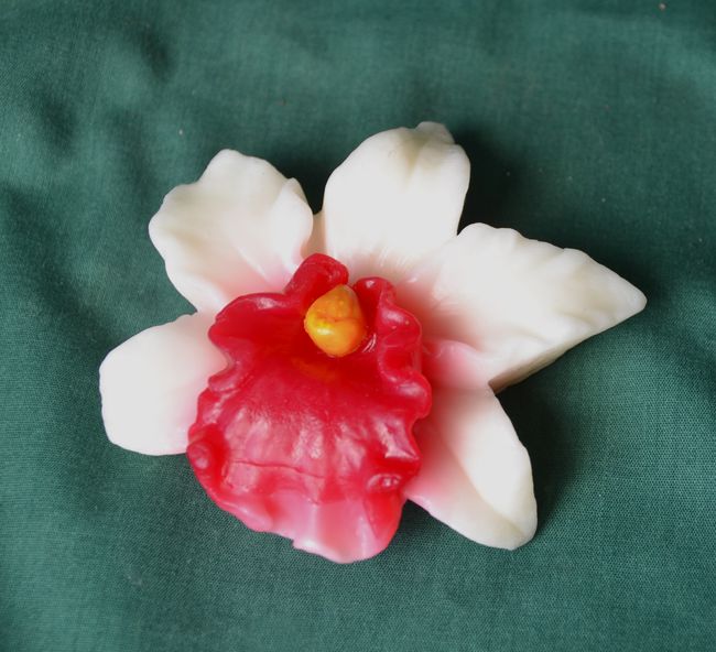 Květ Orchidej červenobílá - průměr 10cm