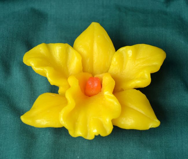 Květ Orchidej žlutá - průměr 11cm