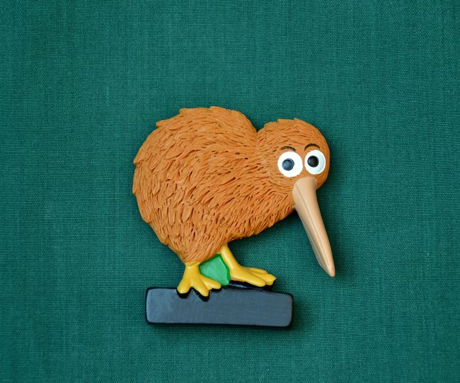 Relief Pták Kiwi, vel 6x6cm