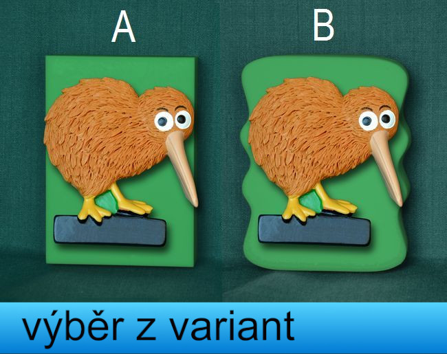 Pták Kiwi