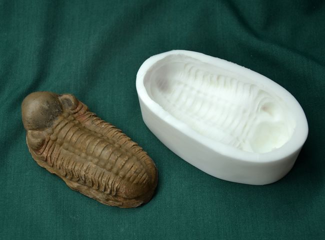 Trilobit 1 - velikost 8,5x4cm