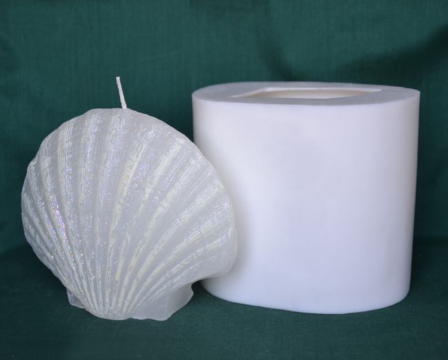 Mušle zavřená, výška 10cm