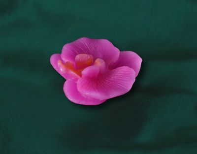 Květ Orchidej mini vel. 4cm