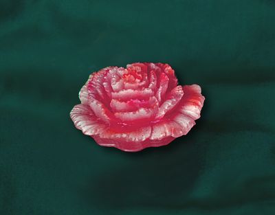 Květ karafiát, průměr 4cm