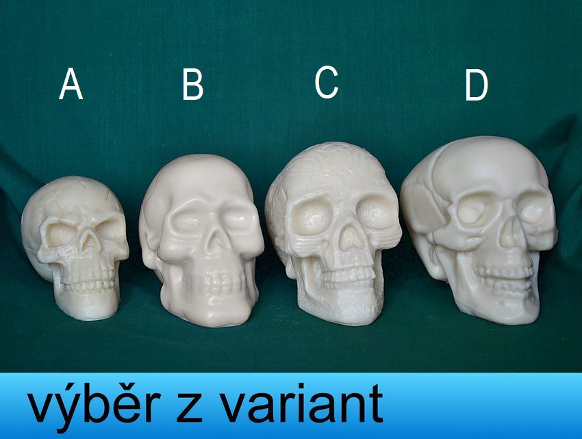 Lebky střední - výška 6,5 - 10cm