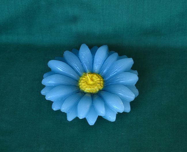 Květ Kopretina velká - průměr 10cm