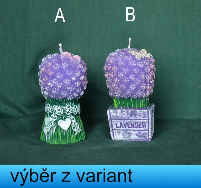 Levandule kytička - výška 7,5cm