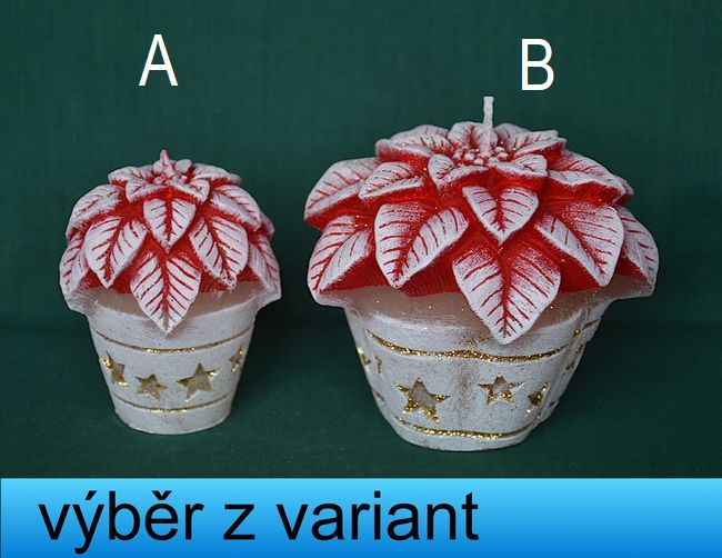 Vánoční hvězda v květináči, průměr 6,5 a 10cm