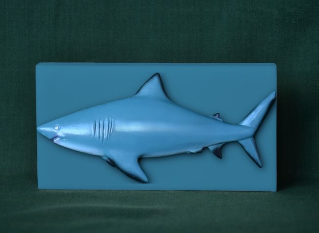 Žralok - obdélník 5,5x10,5cm