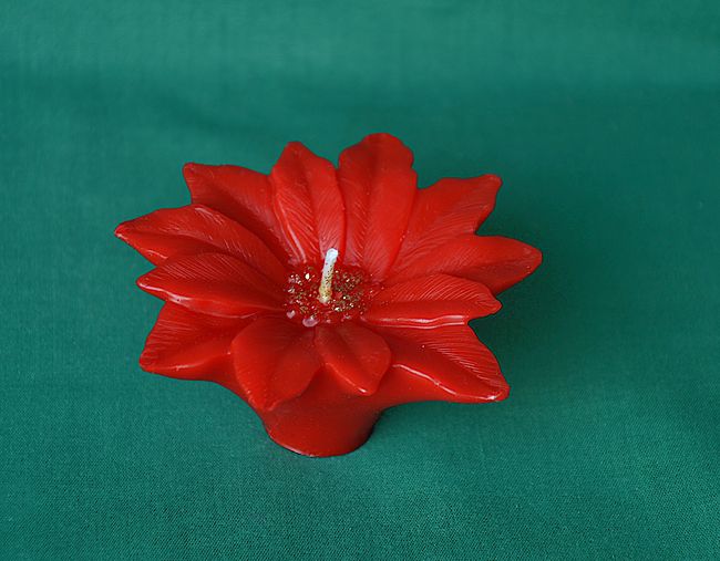 Vánoční hvězda květ, průměr 8cm