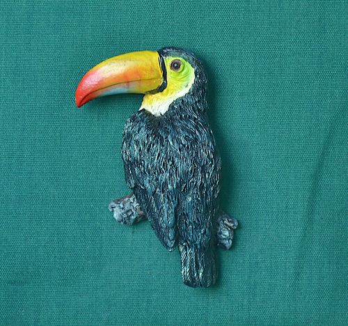 Tukan - vel 6,5cm