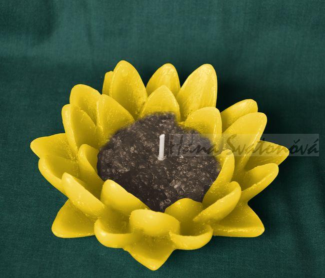 Leknín otevřený - průměr 13,5cm
