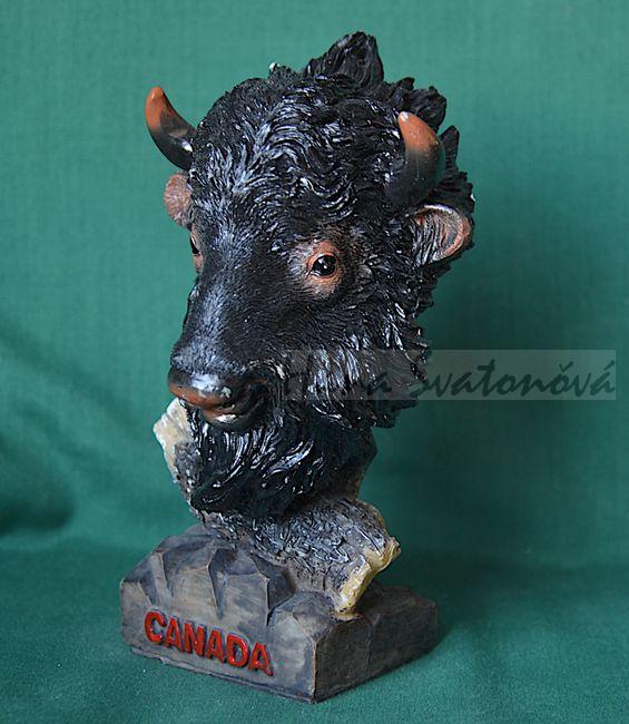 Hlava Bizona - výška 14cm